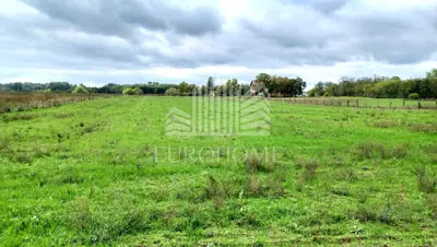 Zemljište 16.690 m², Bilje - poslovna zona uz glavnu cestu - 4