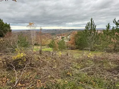 BUJE – GRAĐEVINSKO ZEMLJIŠTE 990 m²