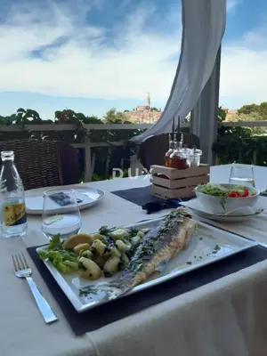 Istra, Rovinj, restoran, 330 m², pogled na more i grad - 3