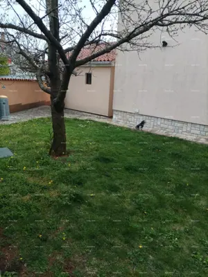 Apartmanska kuća sa 5 apartmana, svaki s predivnim pogledom na more - 16