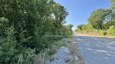 Agricultural land 12,480 m², Krk - Šotovento - 6