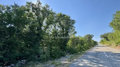 Agricultural land 12,480 m², Krk - Šotovento - 9