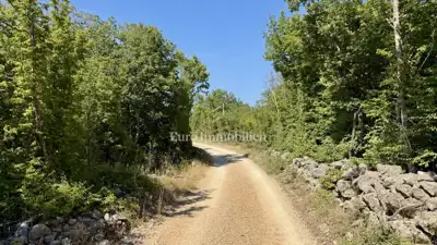Agricultural land 12,480 m², Krk - Šotovento - 3