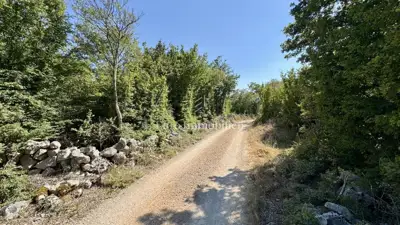 Agricultural land 12,480 m², Krk - Šotovento - 4