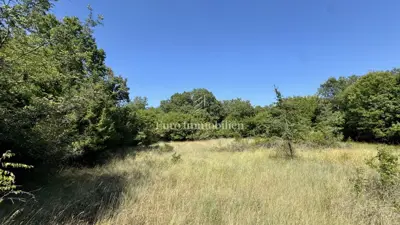 Poljoprivredno zemljište 12.480 m², Krk - Šotovento