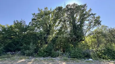 Agricultural land 12,480 m², Krk - Šotovento - 7