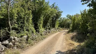 Agricultural land 12,480 m², Krk - Šotovento - 5