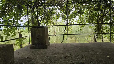 Kuća 51 m², Labin - mir i potpuna privatnost - 13