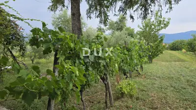 Kuća 51 m², Labin - mir i potpuna privatnost - 9