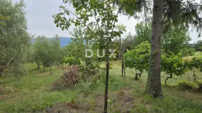 Kuća 51 m², Labin - mir i potpuna privatnost - 12