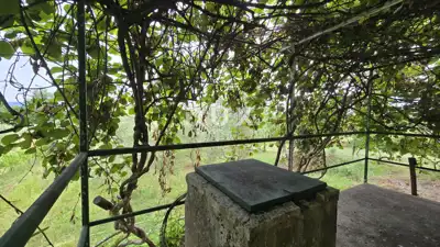 Kuća 51 m², Labin - mir i potpuna privatnost - 16