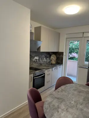 Rijeka, centar │najam 1s+db
