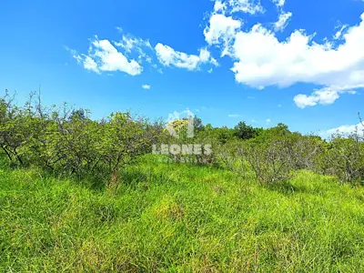 Poljoprivredno zemljište 10 878 m², Materada kod Umaga - 3