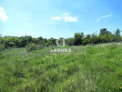 Poljoprivredno zemljište 10 878 m², Materada kod Umaga - 2