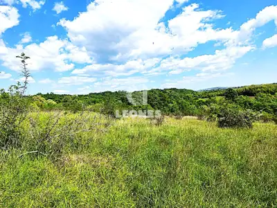 Poljoprivredno zemljište 10 878 m², Materada kod Umaga