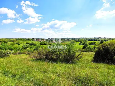 Poljoprivredno zemljište 10 878 m², Materada kod Umaga - 4