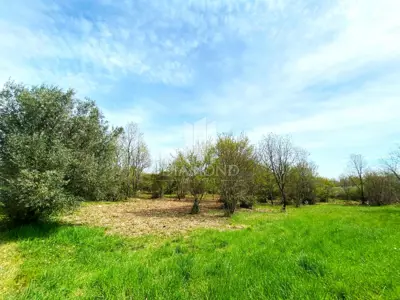 Baugrundstück 2.200 m², Poreč - 4 km vom Meer - 3