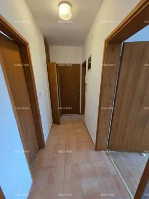 Apartment 61 m², Vidikovac, Pula - quiet street and forest view - 7
