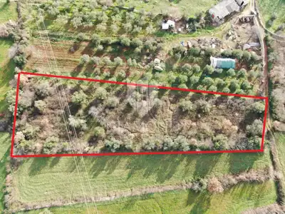 Land 3,280 m², Marčana - building and agricultural - 7