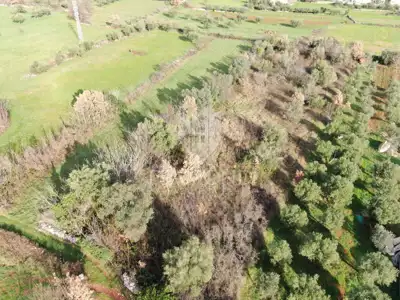 Land 3,280 m², Marčana - building and agricultural - 6