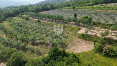 Building plot 758 m², Pićan - open view of the hills - 5