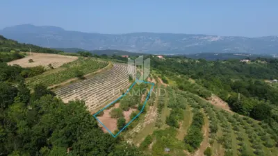 Building plot 758 m², Pićan - open view of the hills - 3