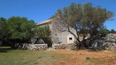 Agricultural land 76,133 m², Punta Križa - with water and electricity - 13