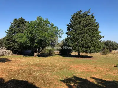 Agricultural land 76,133 m², Punta Križa - with water and electricity - 9