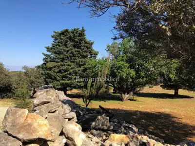Agricultural land 76,133 m², Punta Križa - with water and electricity - 18