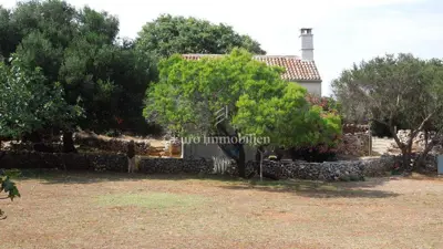 Agricultural land 76,133 m², Punta Križa - with water and electricity - 15