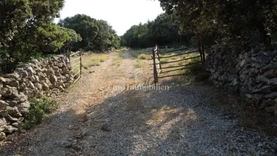 Agricultural land 76,133 m², Punta Križa - with water and electricity - 19