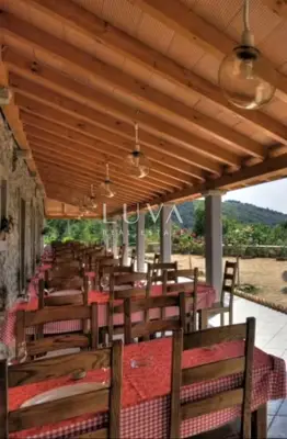 Istrien, Ripenda Kras, Tourismusvilla und Anwesen zu verkaufen - 8