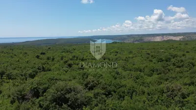 Labin, surroundings, plot with building permit - 8