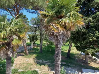 Wohnung in Rab, Kampor - erste Reihe zum Meer und zum Strand - 15