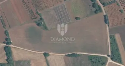 Agricultural land 32,619 m², Kaštelir - investment - 2