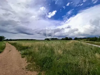 Agricultural land 32,619 m², Kaštelir - investment - 5