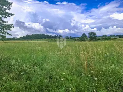 Poljoprivredno zemljište 32.619 m², Kaštelir - investicija