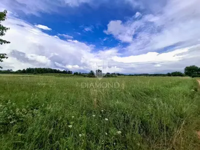 Agricultural land 32,619 m², Kaštelir - investment - 4