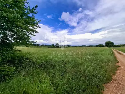 Agricultural land 32,619 m², Kaštelir - investment - 3