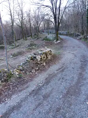 Landwirtschaftsfläche, Spinčići - an der Hauptstraße und mit Zufahrt - 5