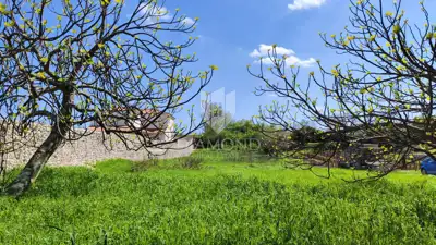 Baugrundstück 1.329 m², Barban - eben und regelmäßig geformt - 3