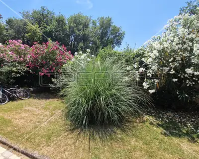 Istra, Ližnjan, Wohnung im 1. Stock mit Pool, 3 Schlafzimmer, ausgezeichnete Lage - 13