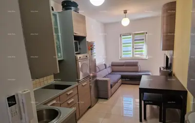 Stan u Novigradu, centar - 200 m od mora - 14