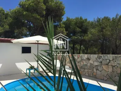 Haus 100 m², Pirovac - Pool und Kiefernwald - 3