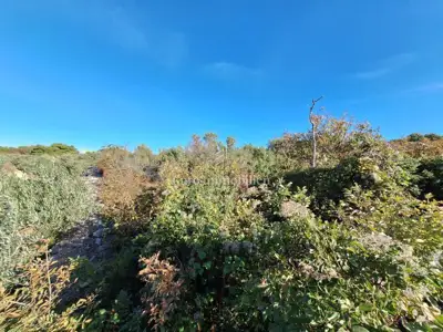 Landwirtschaftsfläche, Punat, 100 m vom Meer - 3