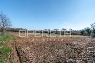 Građevinsko zemljište 5.550 m², Vabriga - investicijski potencijal - 2