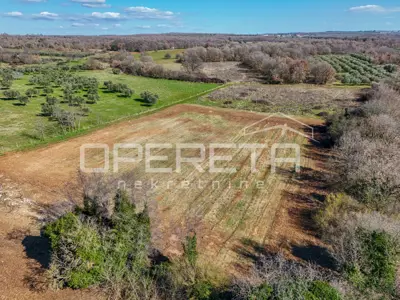 Građevinsko zemljište 5.550 m², Vabriga - investicijski potencijal