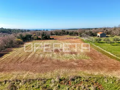 Građevinsko zemljište 5.550 m², Vabriga - investicijski potencijal - 4