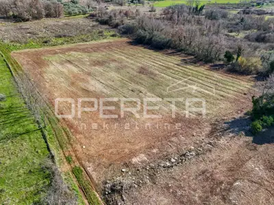 Građevinsko zemljište 5.550 m², Vabriga - investicijski potencijal - 7