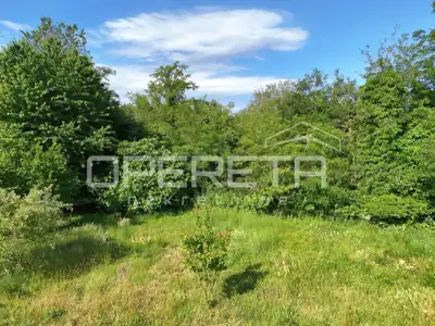 Istra, Poreč-Investicijsko zemljište za 8 stambenih zgrada – izvrsna lokacija - 2